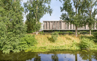 private-rentals for rent on Helper Oostsingel 38